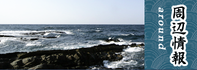 周辺情報
